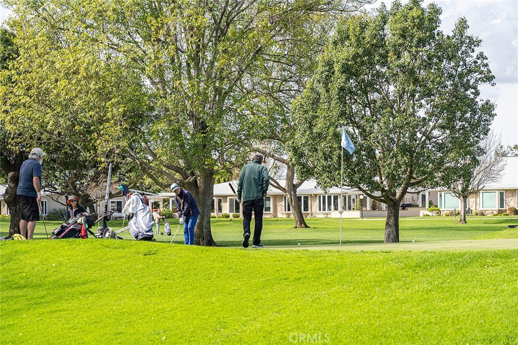 13061 Del Monte 277B