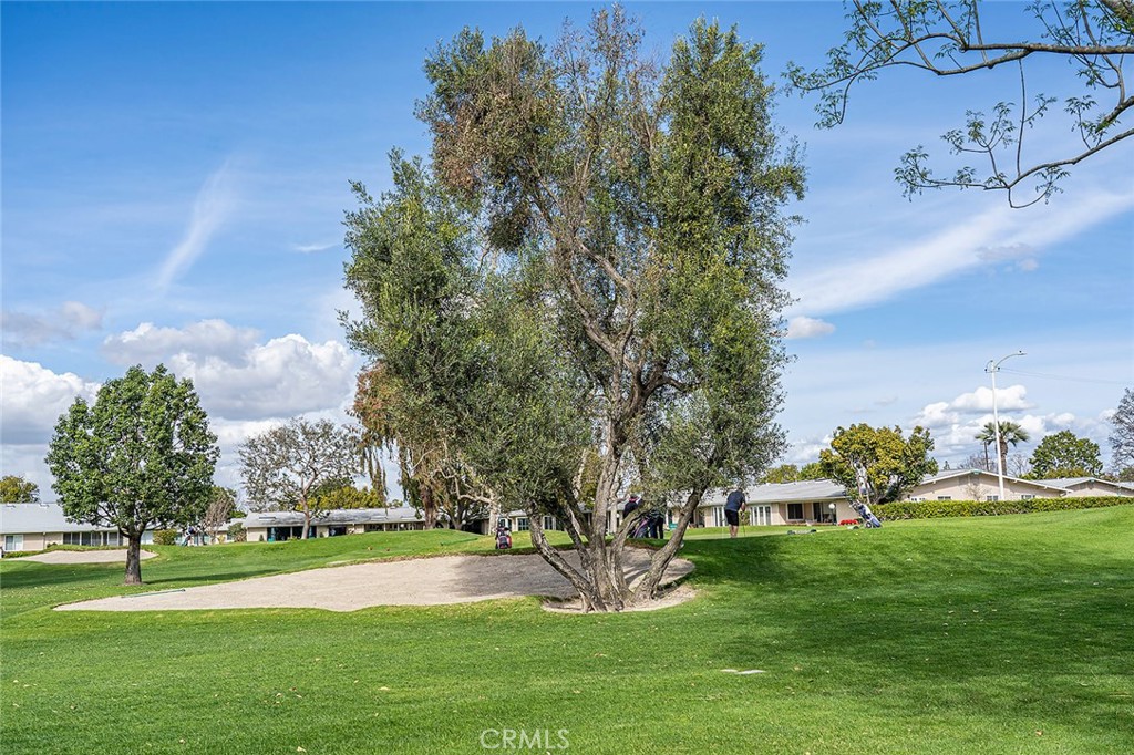 13061 Del Monte 277B