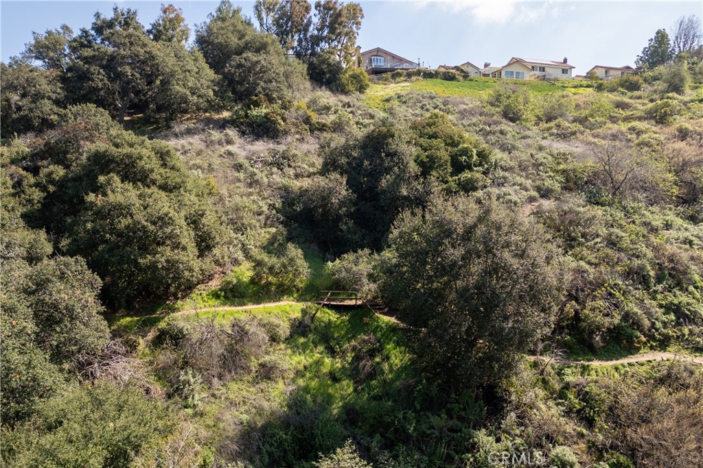 6550 E Paseo Alcazaa