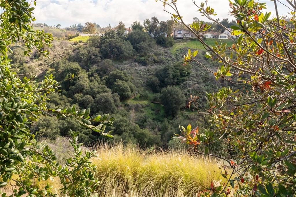 6550 E Paseo Alcazaa