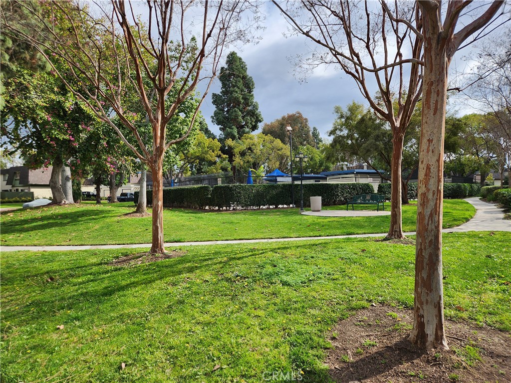 2833 E Jackson Avenue B