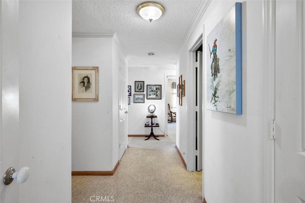 19022 Chadbourne Lane