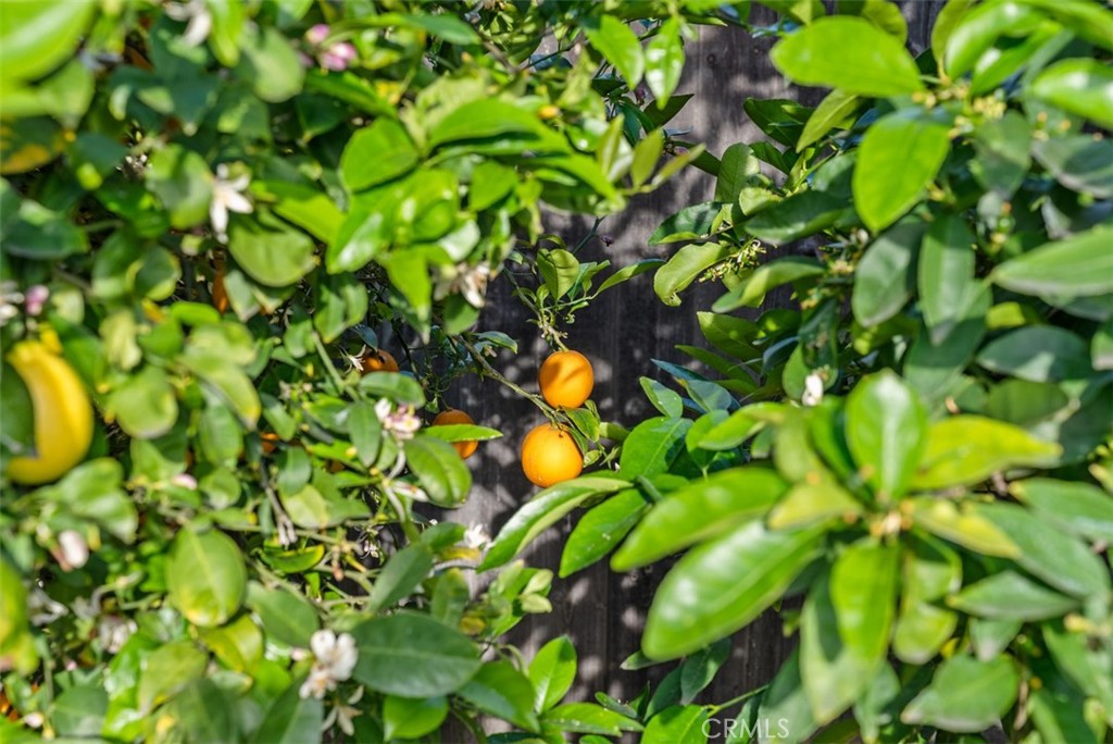 505 North McClay Street