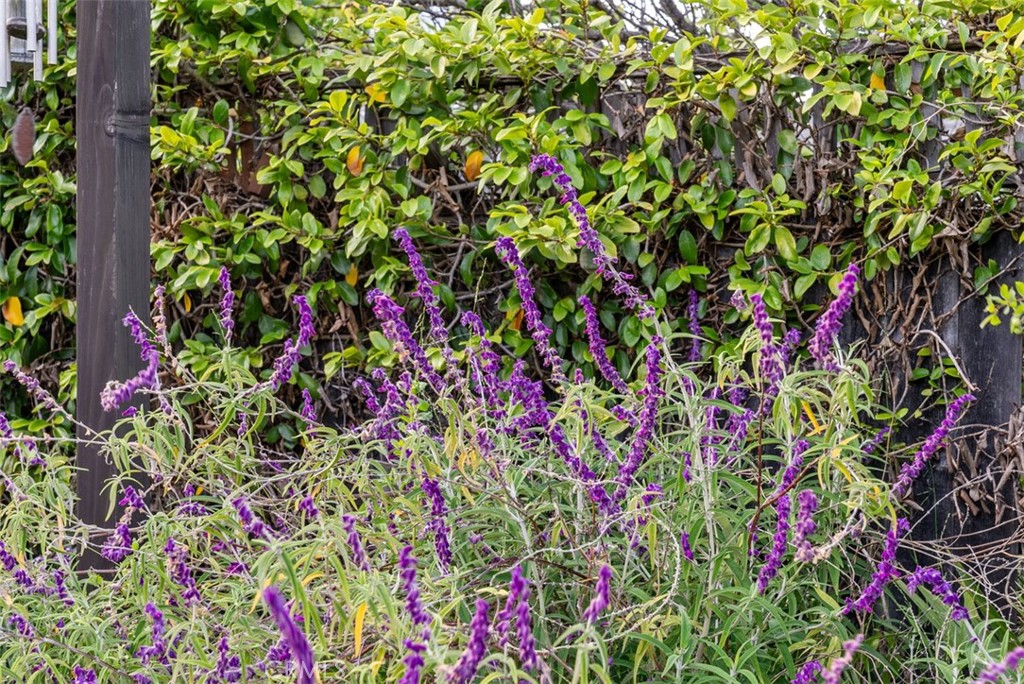 505 North McClay Street