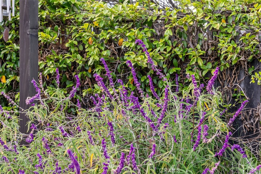 505 North McClay Street