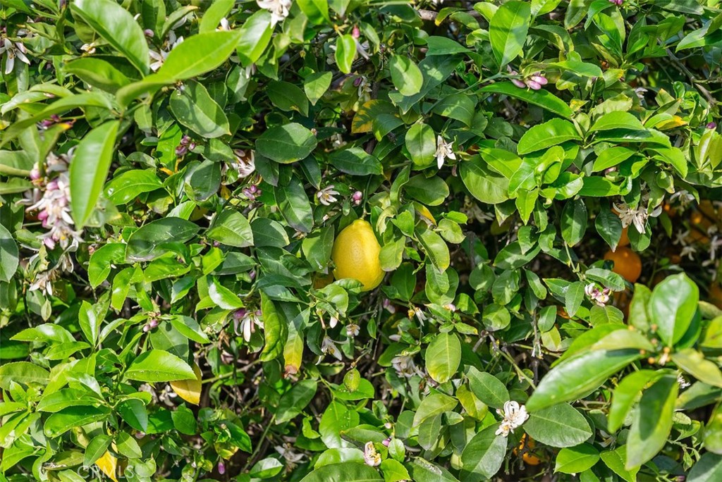 505 North McClay Street