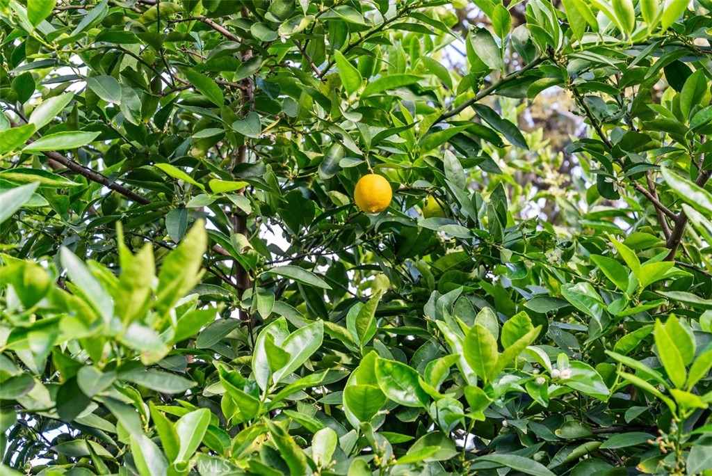 505 North McClay Street