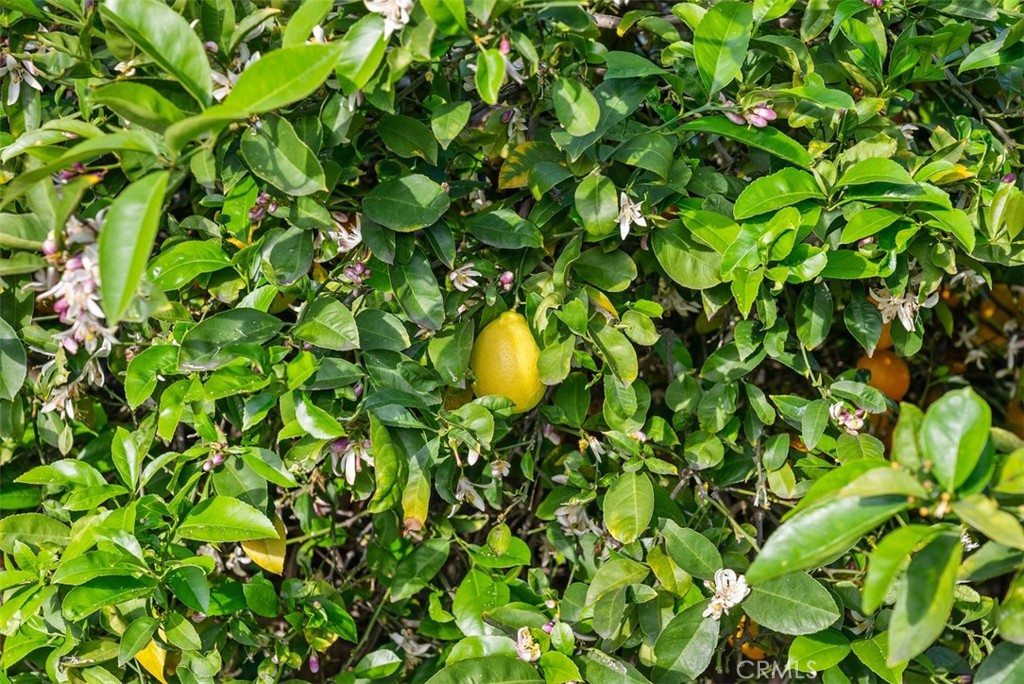 505 North McClay Street