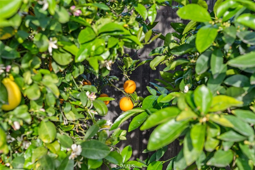 505 North McClay Street