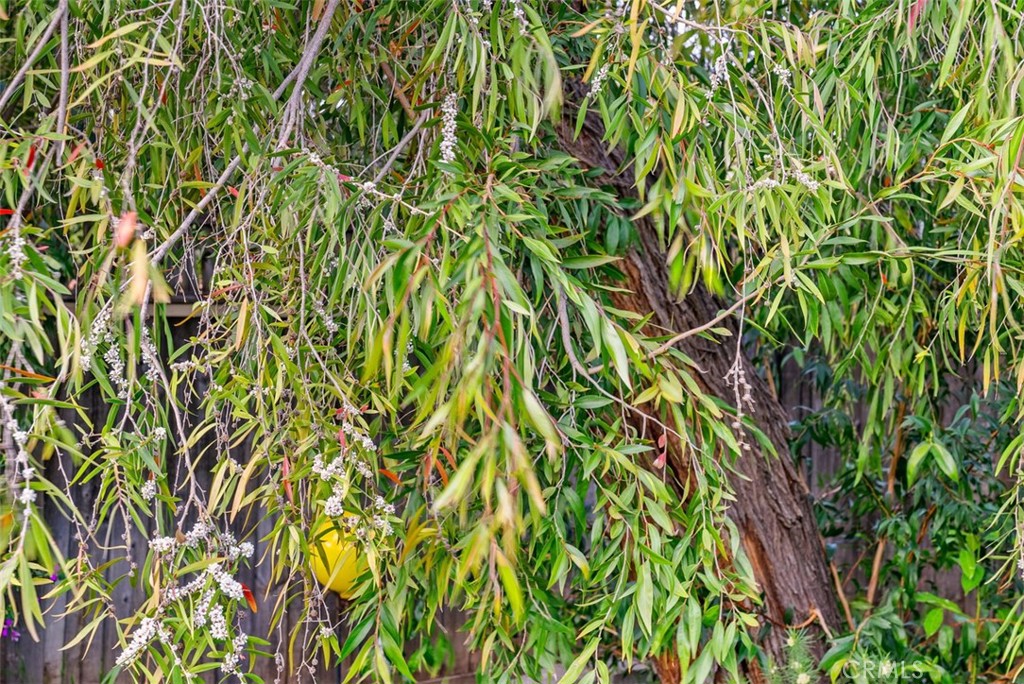 505 North McClay Street