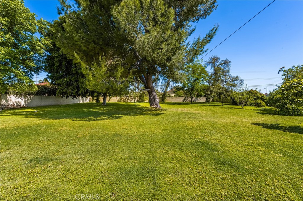 8541 Orangewood Avenue