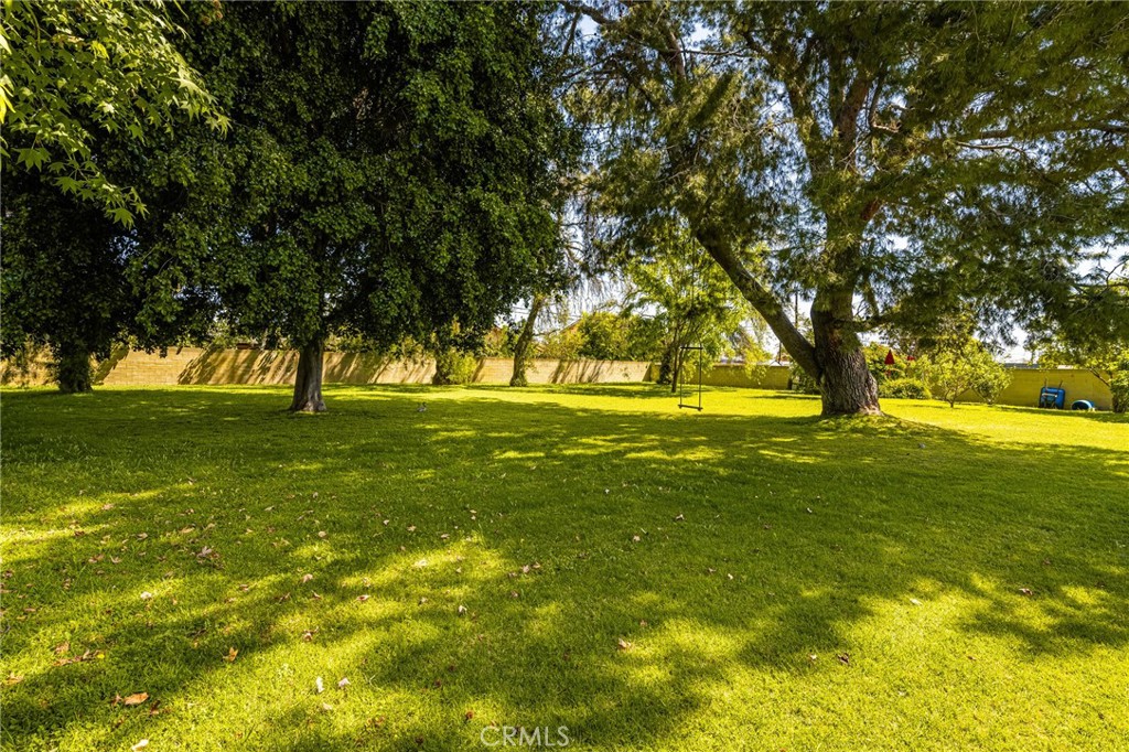 8541 Orangewood Avenue