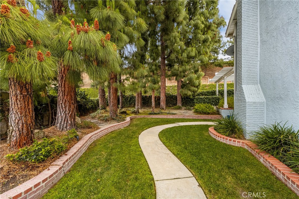 2391 Coco Palm Drive