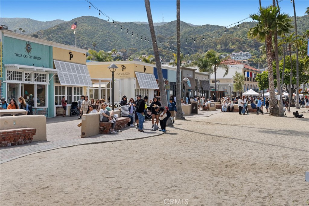 63 Camino De Flores 22