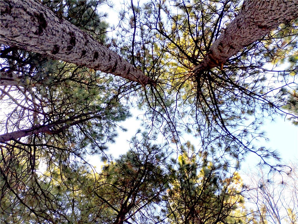 31083 All View Drive