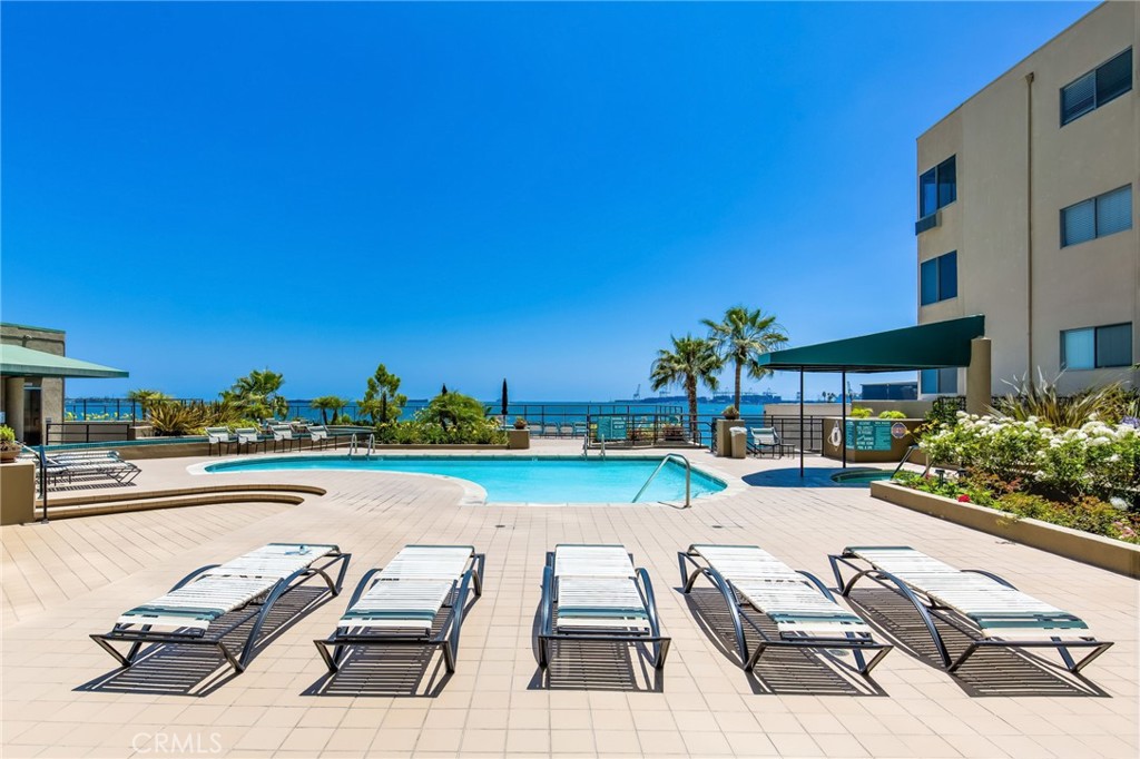 1310 E Ocean Boulevard 1403