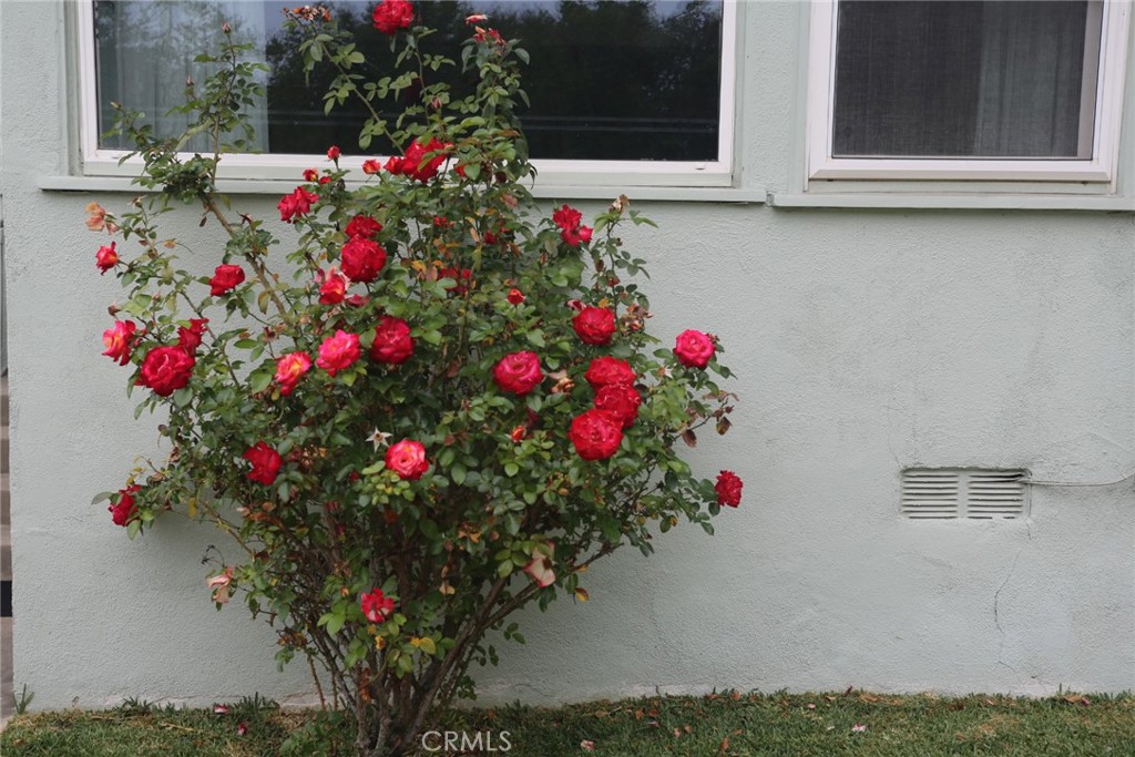 904 East Union Avenue