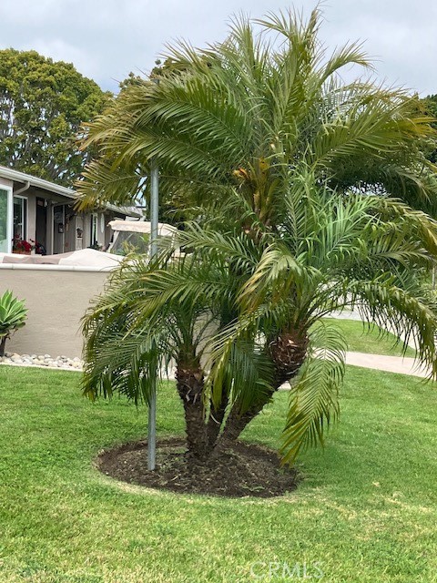 1381 141D M-6 Mayfield Road 141D