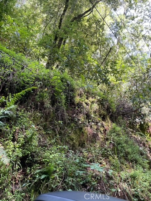 0 A Montezuma Avenue