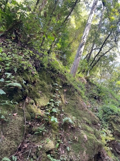 0 A Montezuma Avenue