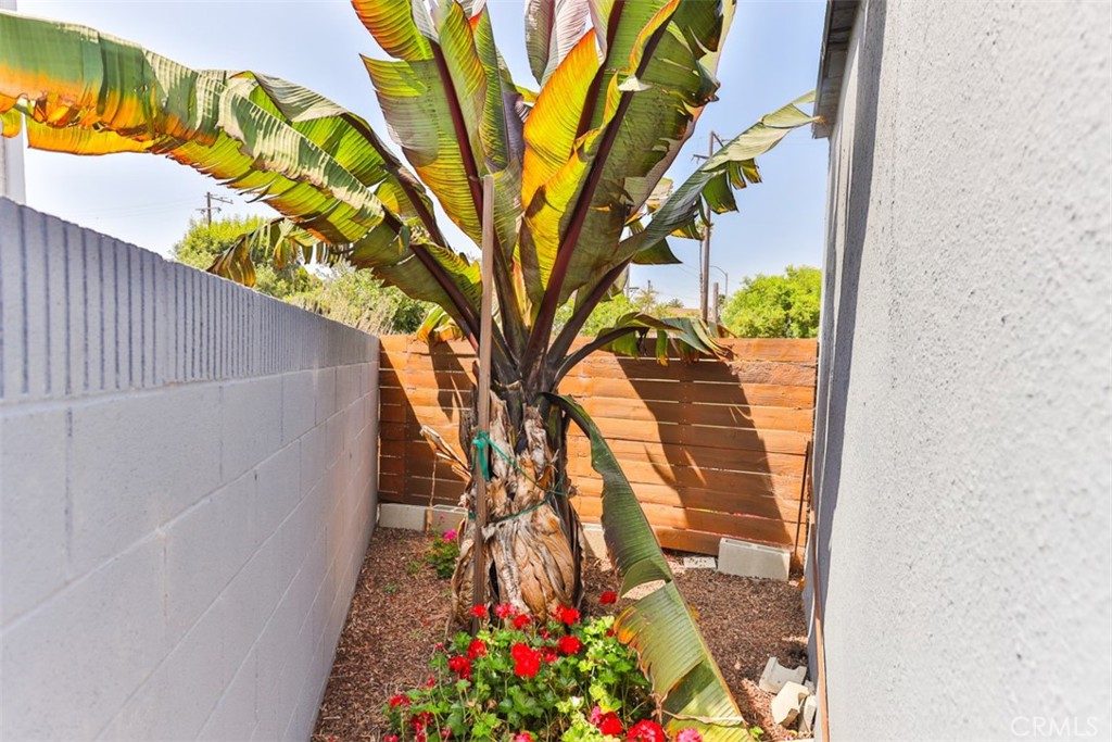 782 Belmont Avenue