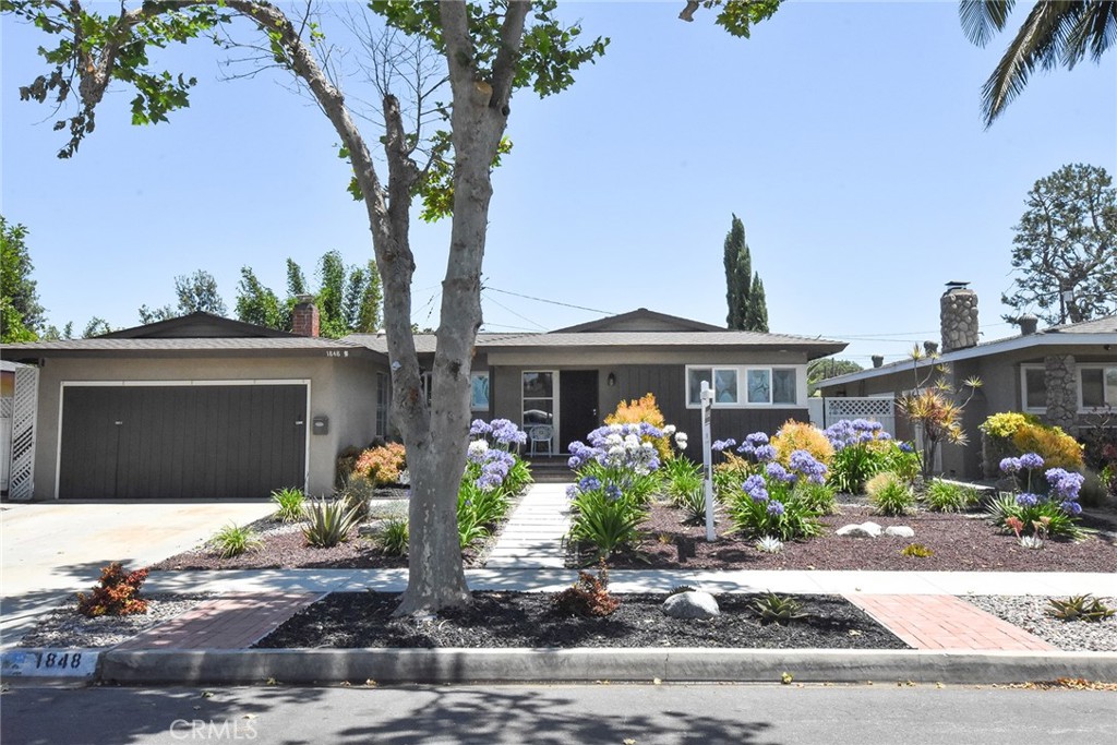 1848 Nipomo Avenue