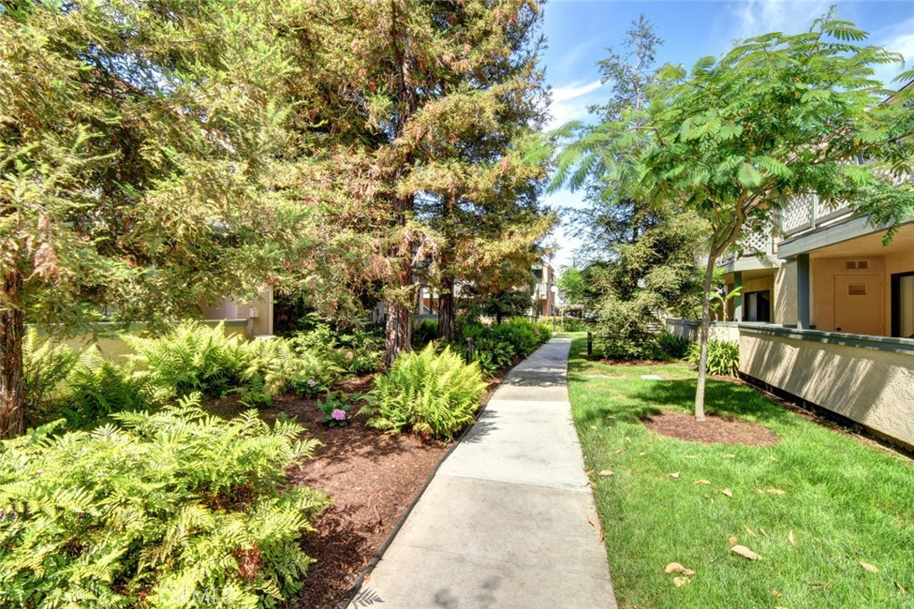 3553 W Greentree Circle F-246