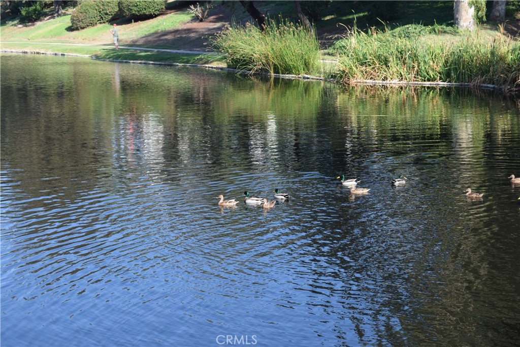 7703 E Twinleaf Trail