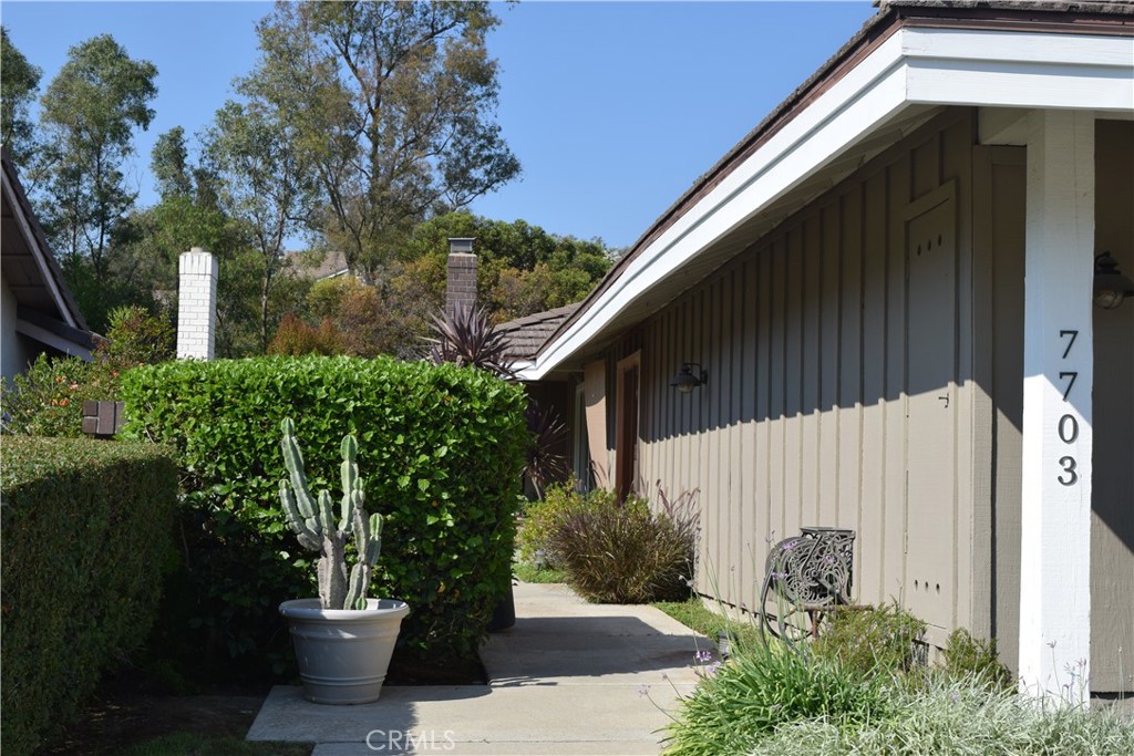 7703 E Twinleaf Trail