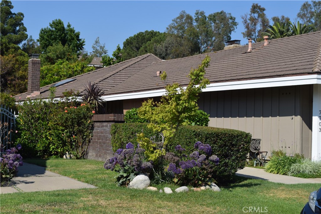 7703 E Twinleaf Trail