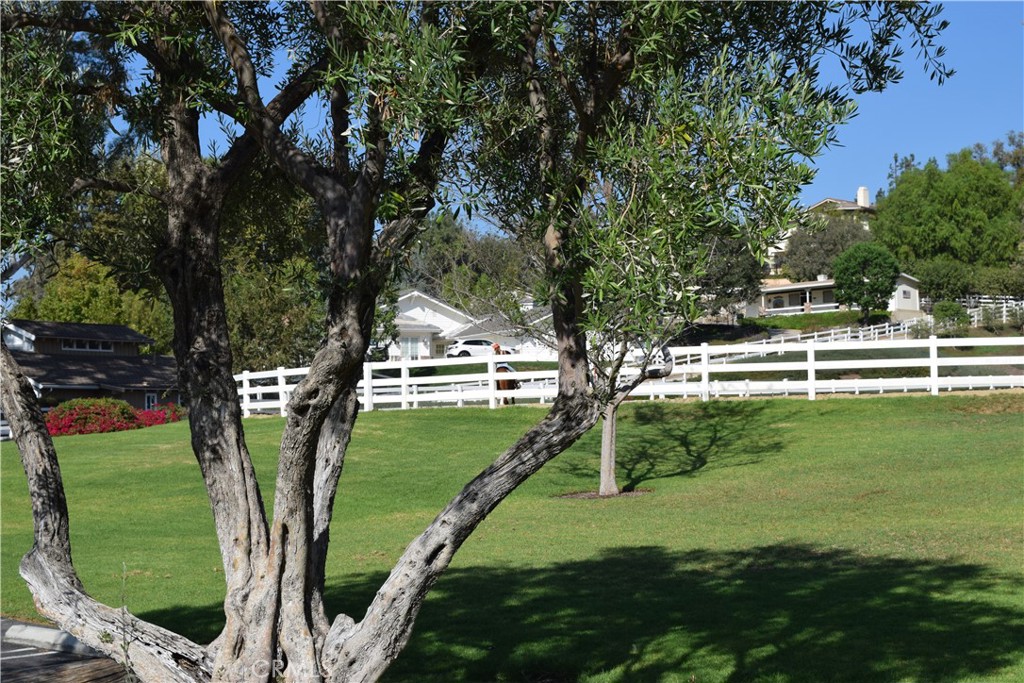 7703 E Twinleaf Trail