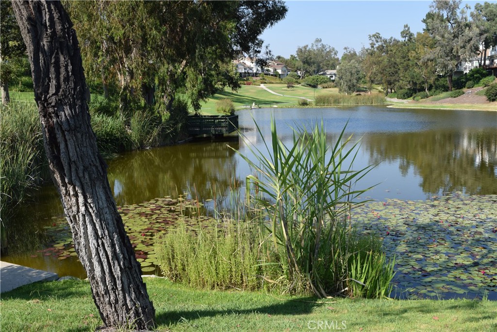 7703 E Twinleaf Trail