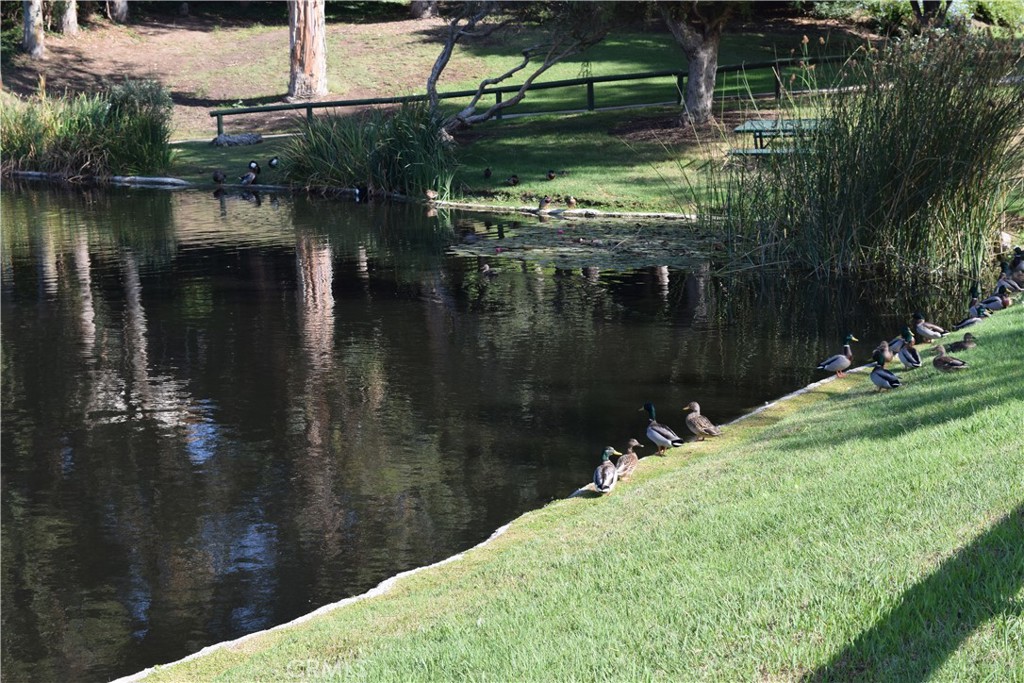 7703 E Twinleaf Trail