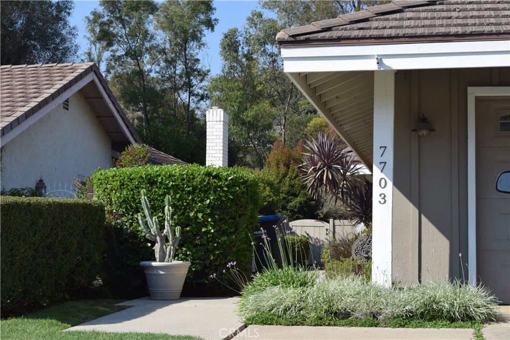 7703 E Twinleaf Trail