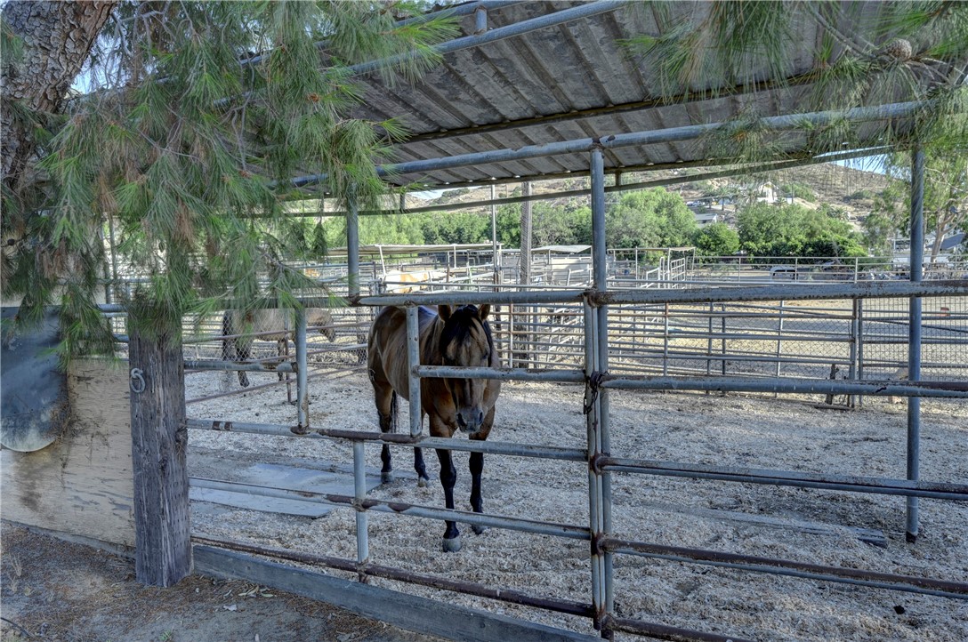 2481 Hillside Avenue