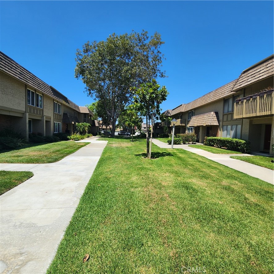 10238 Black River Court