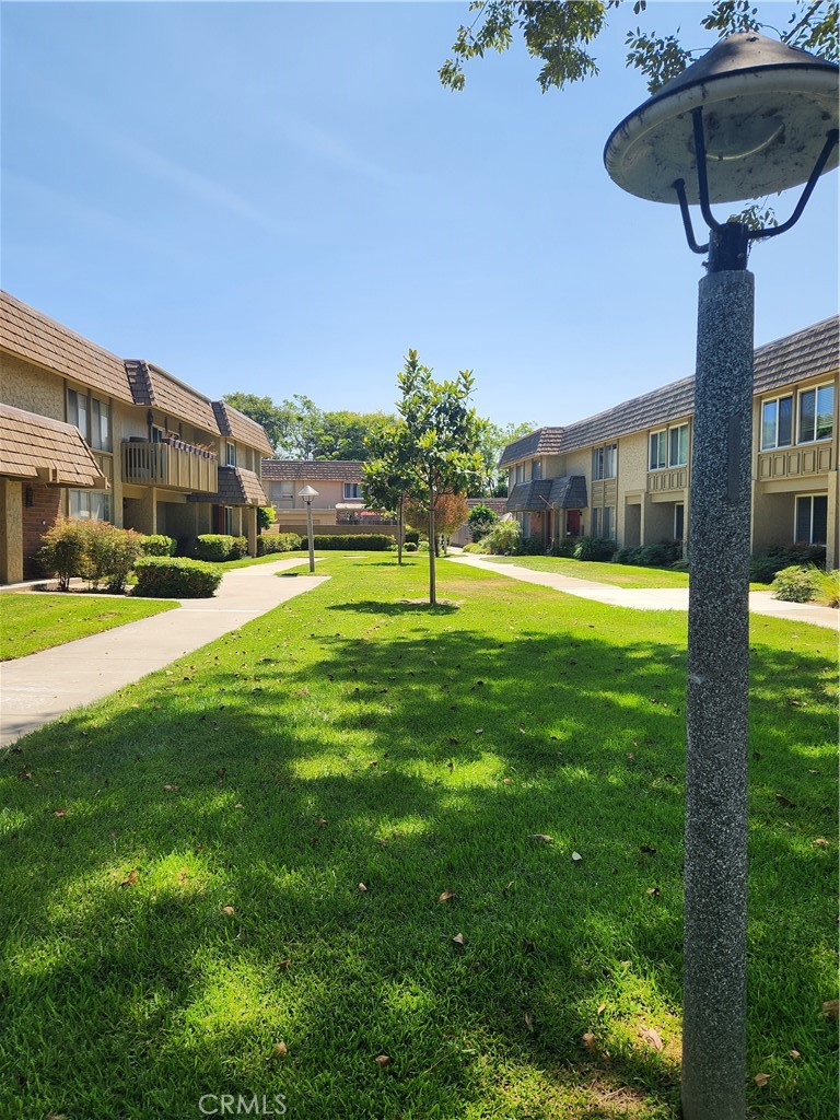 10238 Black River Court