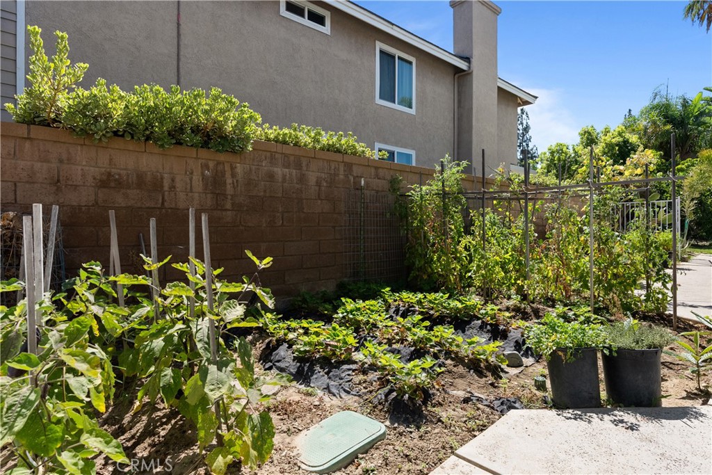 28040 Blackberry Way