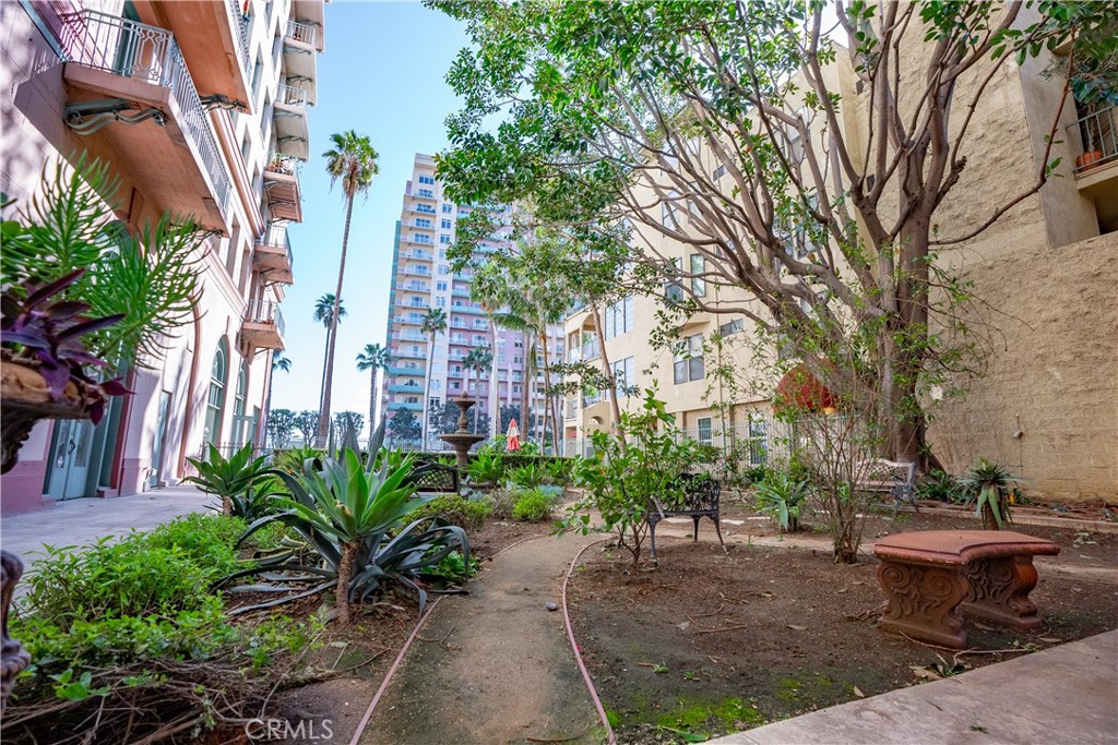 455 E Ocean Boulevard 1116