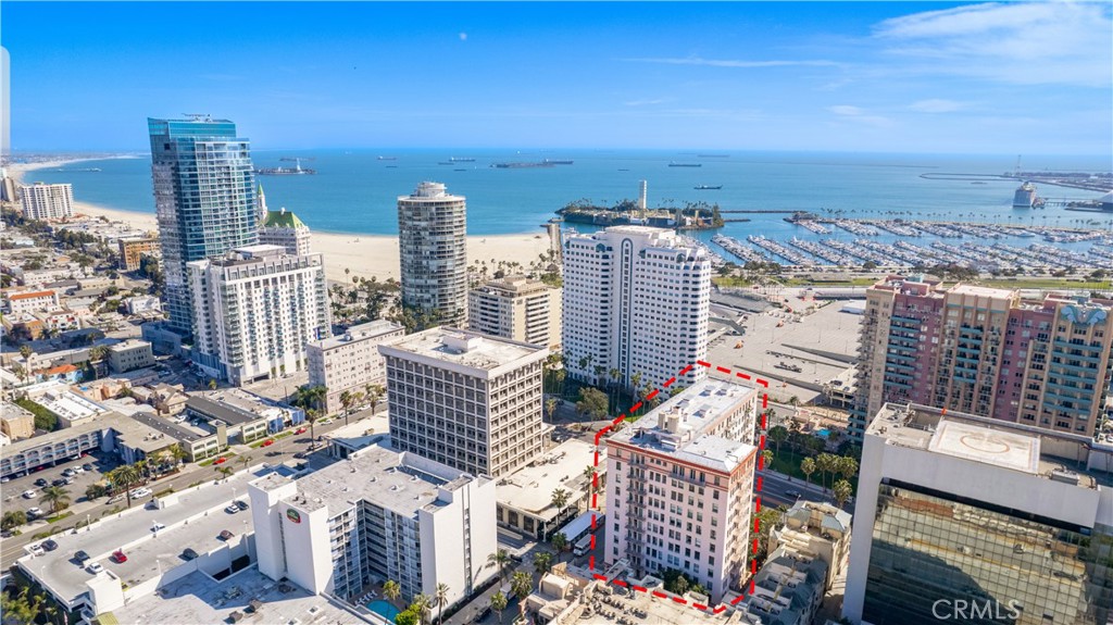 455 E Ocean Boulevard 1116