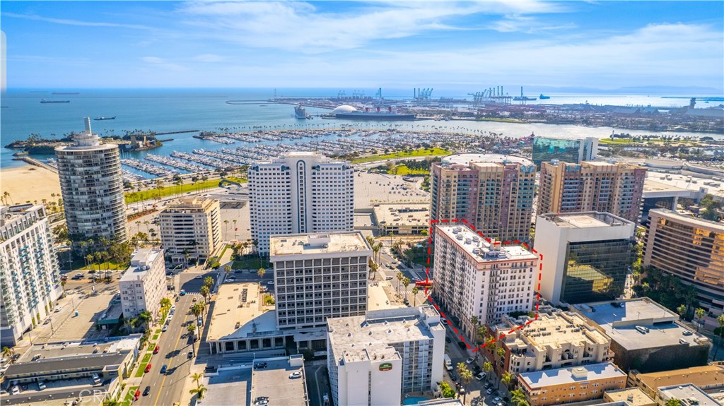 455 E Ocean Boulevard 1116