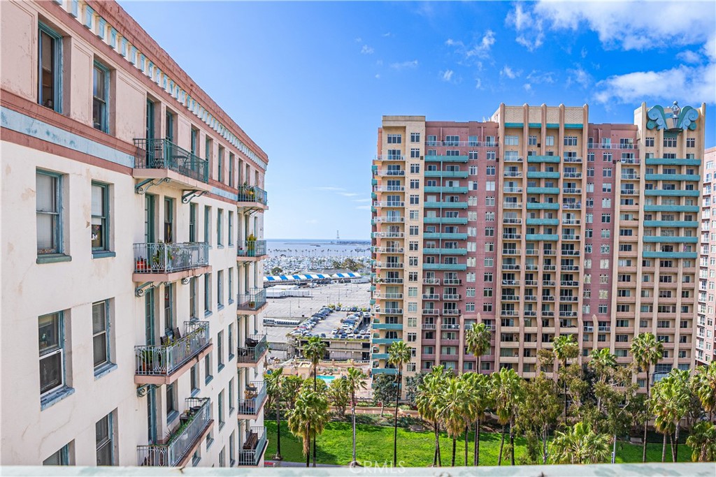 455 E Ocean Boulevard 1116
