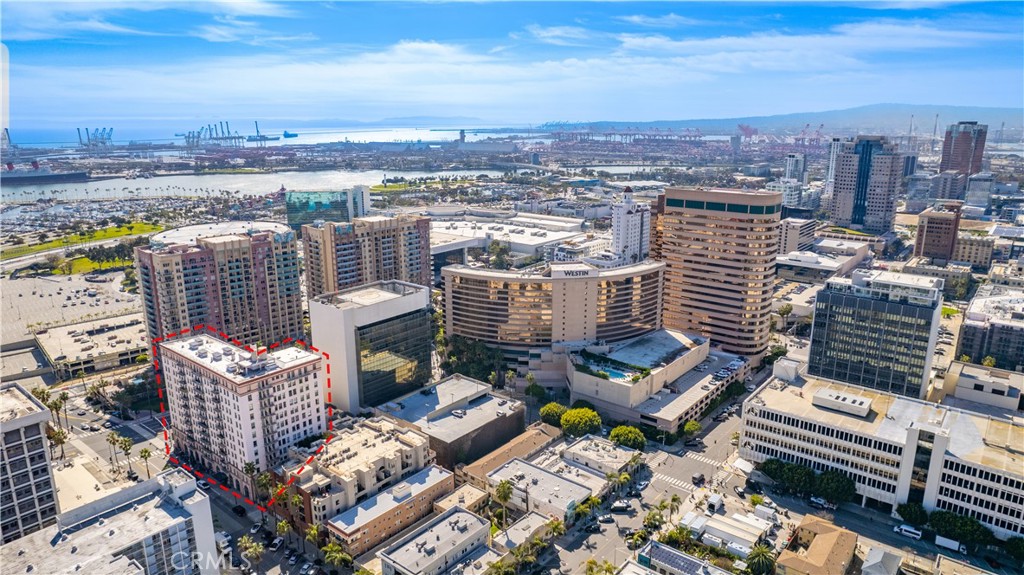 455 E Ocean Boulevard 1116