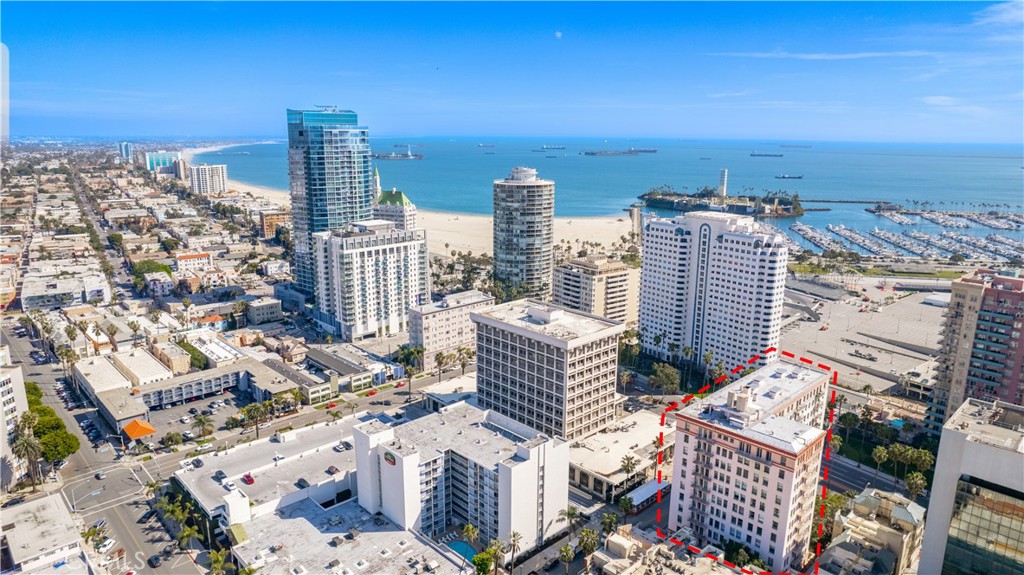 455 E Ocean Boulevard 1116