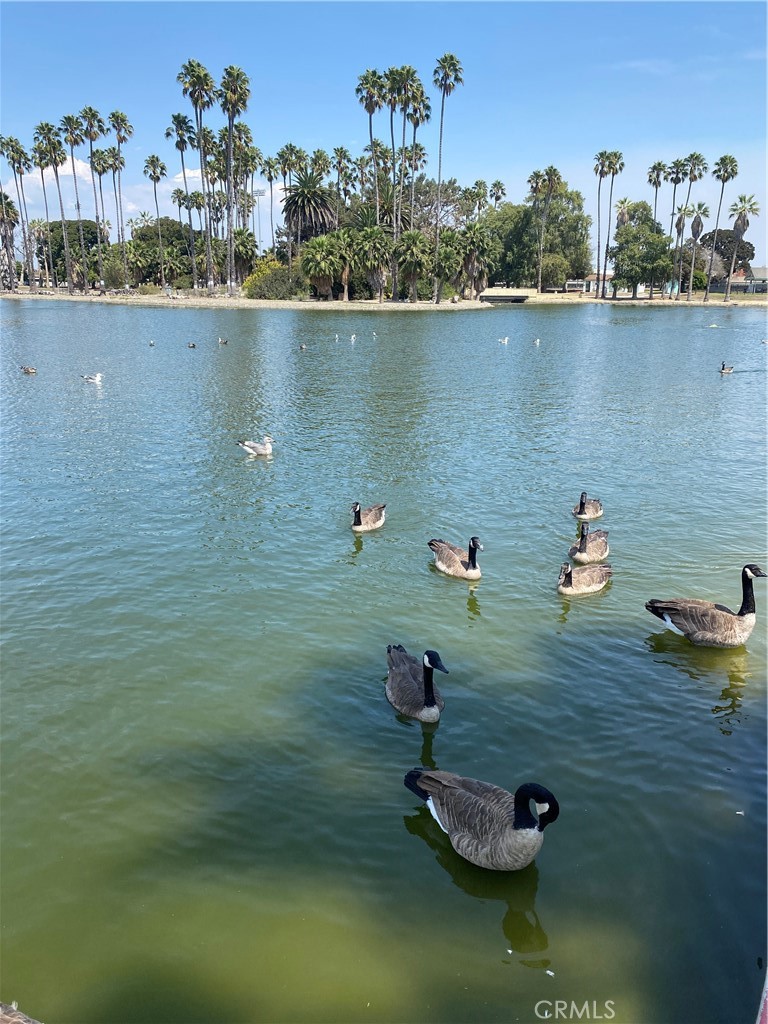 17019 Kornblum Avenue