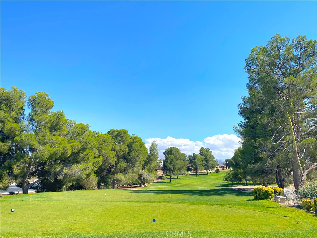 12564 Glen Canyon Lane