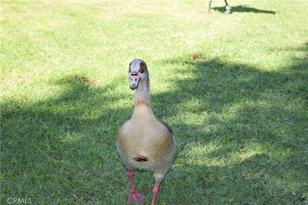 3014 A Via Buena Vista A