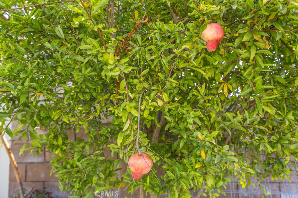 8340 Chatham Terrace E