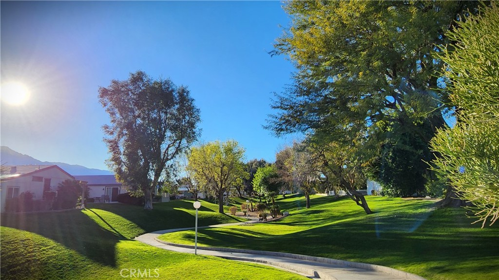 15300 Palm Drive 191