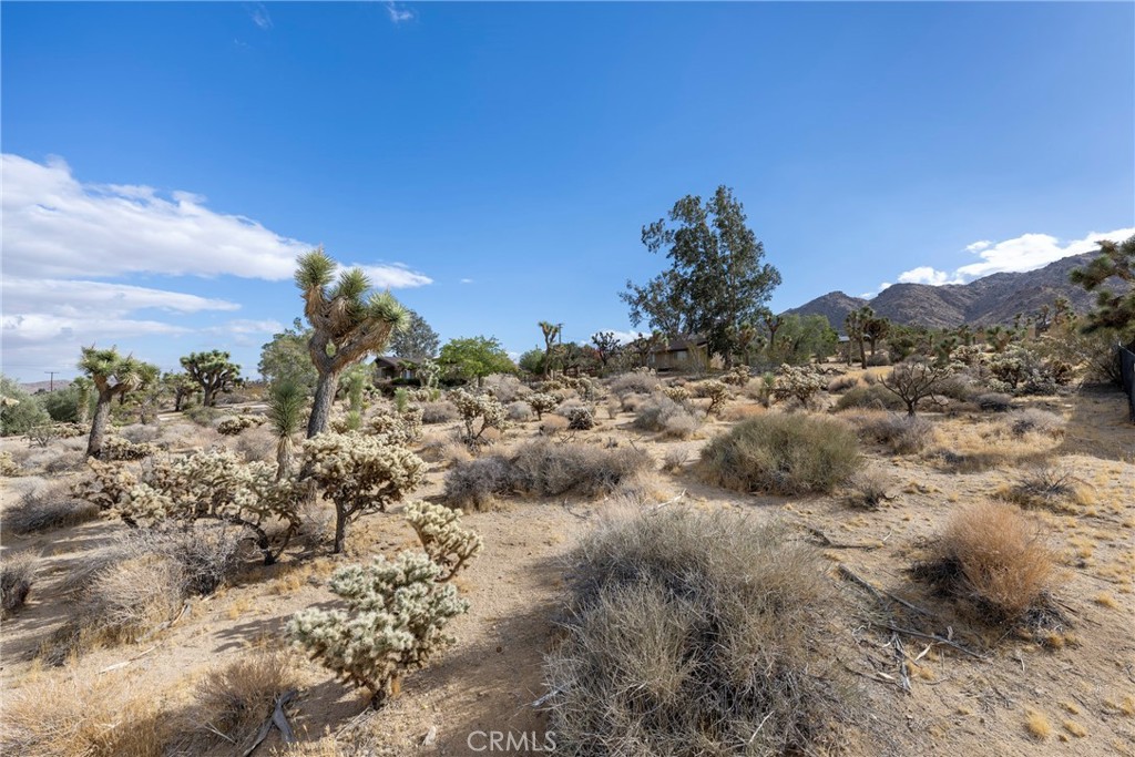 60383 Melton Trail